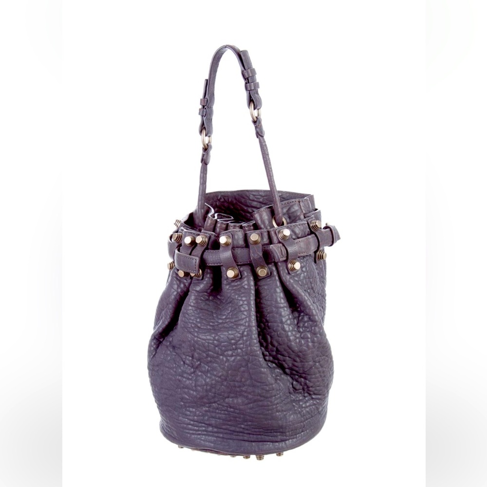ALEXANDER WANG Diego Bucket Bag
